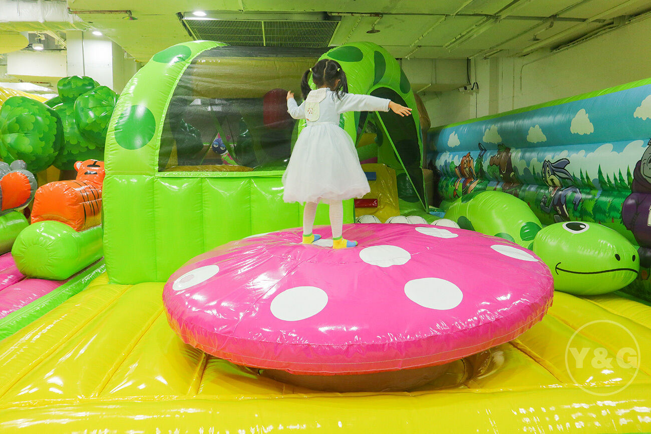 YGIP-16Forest Forest